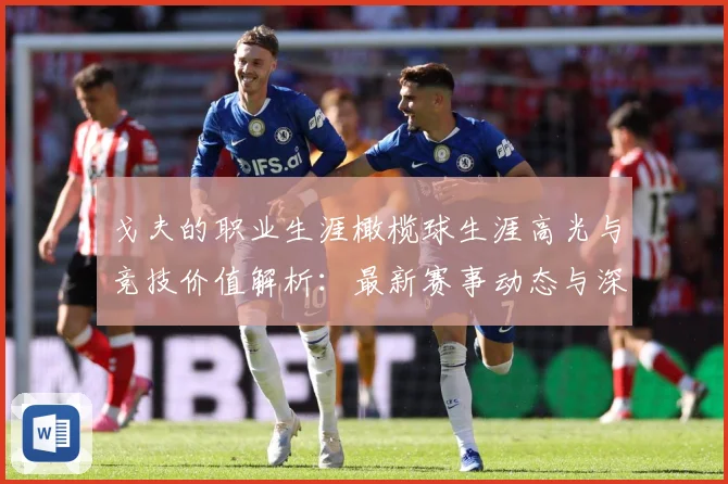 戈夫的职业生涯橄榄球生涯高光与竞技价值解析：最新赛事动态与深度分析